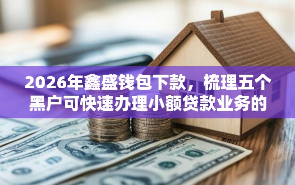 2026年鑫盛钱包下款，梳理五个黑户可快速办理小额贷款业务的口子