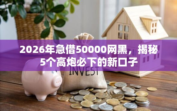2026年急借50000网黑，揭秘5个高炮必下的新口子