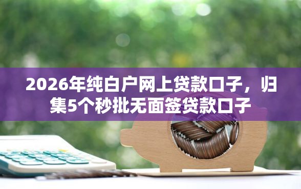 2026年纯白户网上贷款口子，归集5个秒批无面签贷款口子
