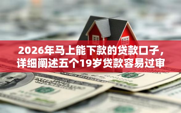 2026年马上能下款的贷款口子，详细阐述五个19岁贷款容易过审批的口子