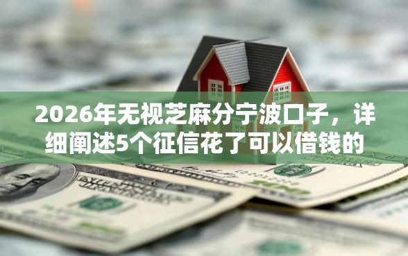 2026年无视芝麻分宁波口子，详细阐述5个征信花了可以借钱的网贷口子