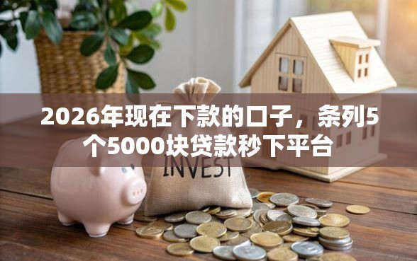 2026年现在下款的口子，条列5个5000块贷款秒下平台
