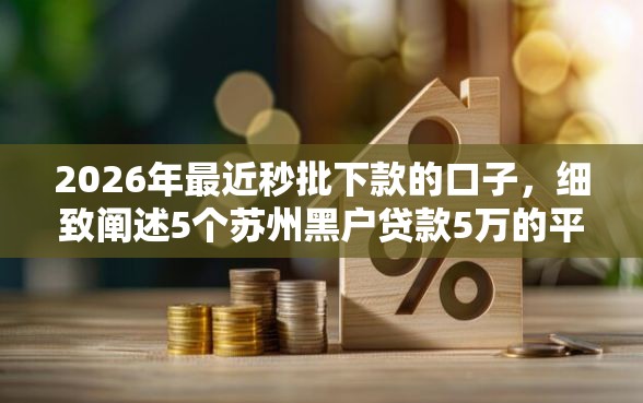 2026年最近秒批下款的口子，细致阐述5个苏州黑户贷款5万的平台