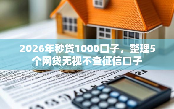 2026年秒贷1000口子，整理5个网贷无视不查征信口子