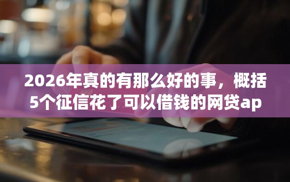 2026年真的有那么好的事，概括5个征信花了可以借钱的网贷app