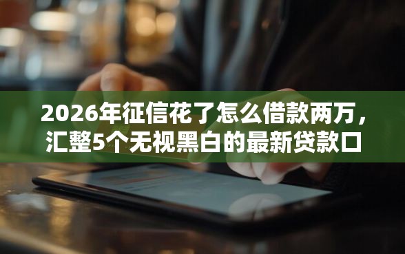 2026年征信花了怎么借款两万，汇整5个无视黑白的最新贷款口子
