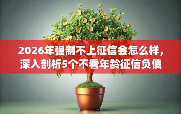 2026年强制不上征信会怎么样，深入剖析5个不看年龄征信负债的app