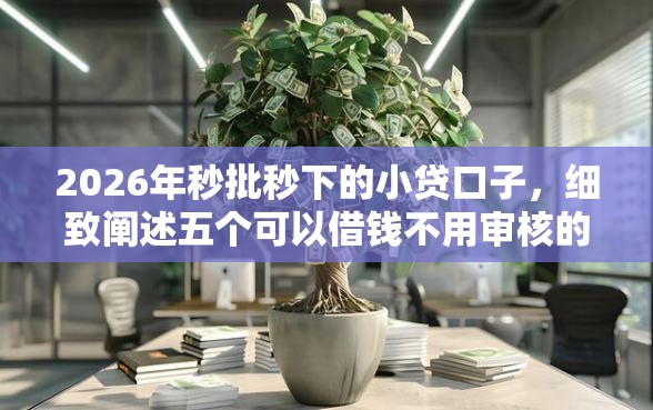 2026年秒批秒下的小贷口子，细致阐述五个可以借钱不用审核的口子