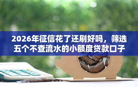 2026年征信花了还刷好吗，筛选五个不查流水的小额度贷款口子