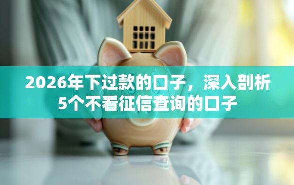 2026年下过款的口子，深入剖析5个不看征信查询的口子