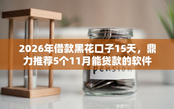 2026年借款黑花口子15天，鼎力推荐5个11月能贷款的软件