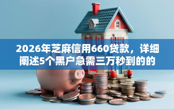 2026年芝麻信用660贷款，详细阐述5个黑户急需三万秒到的的平台