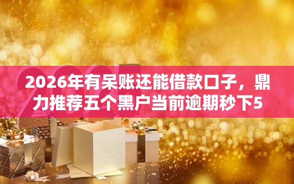 2026年有呆账还能借款口子，鼎力推荐五个黑户当前逾期秒下5万平台