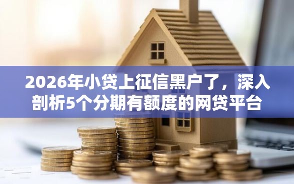 2026年小贷上征信黑户了，深入剖析5个分期有额度的网贷平台