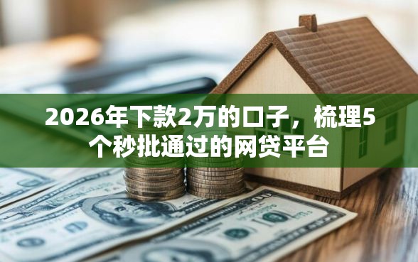 2026年下款2万的口子，梳理5个秒批通过的网贷平台