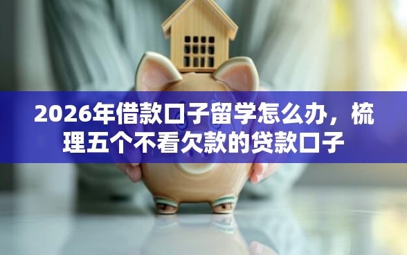 2026年借款口子留学怎么办，梳理五个不看欠款的贷款口子