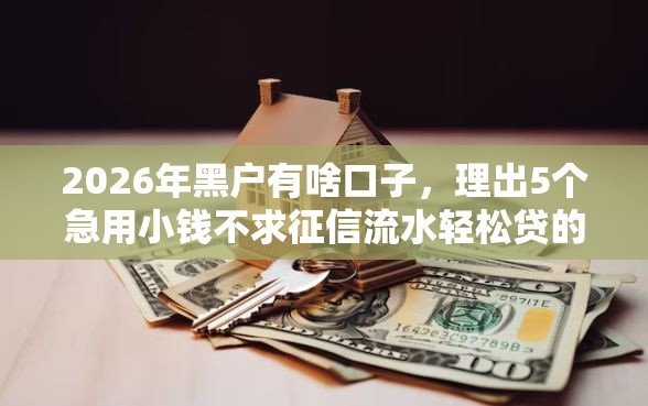 2026年黑户有啥口子，理出5个急用小钱不求征信流水轻松贷的口子
