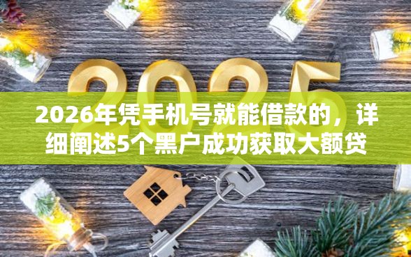 2026年凭手机号就能借款的，详细阐述5个黑户成功获取大额贷款的口子