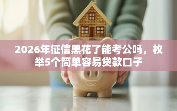 2026年征信黑花了能考公吗，枚举5个简单容易贷款口子