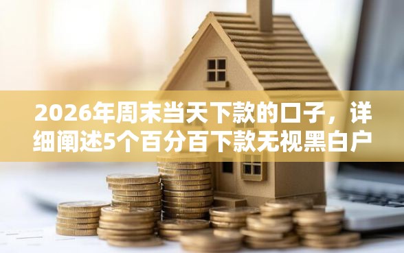 2026年周末当天下款的口子，详细阐述5个百分百下款无视黑白户网贷口子