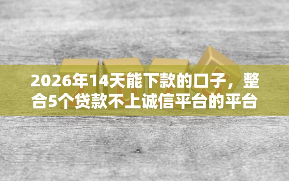 2026年14天能下款的口子，整合5个贷款不上诚信平台的平台