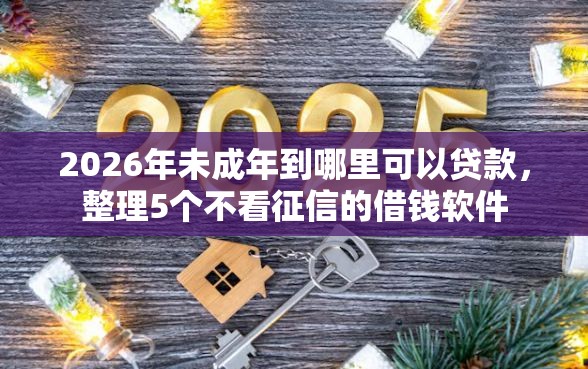 2026年未成年到哪里可以贷款，整理5个不看征信的借钱软件