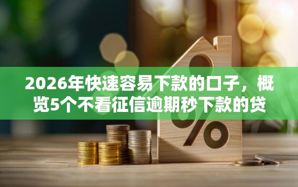 2026年快速容易下款的口子，概览5个不看征信逾期秒下款的贷款