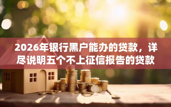 2026年银行黑户能办的贷款，详尽说明五个不上征信报告的贷款app