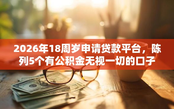2026年18周岁申请贷款平台，陈列5个有公积金无视一切的口子