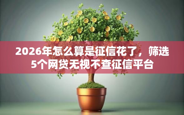 2026年怎么算是征信花了，筛选5个网贷无视不查征信平台