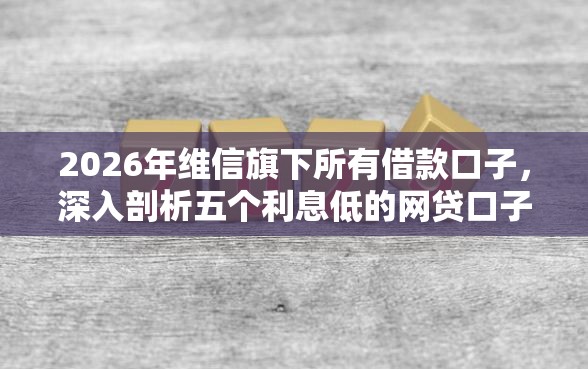 2026年维信旗下所有借款口子，深入剖析五个利息低的网贷口子