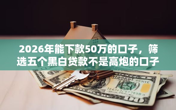 2026年能下款50万的口子，筛选五个黑白贷款不是高炮的口子