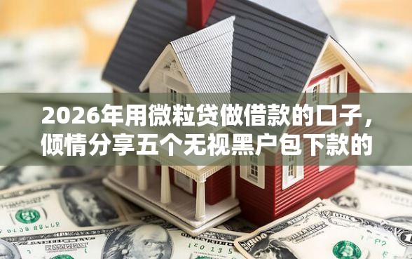 2026年用微粒贷做借款的口子，倾情分享五个无视黑户包下款的口子