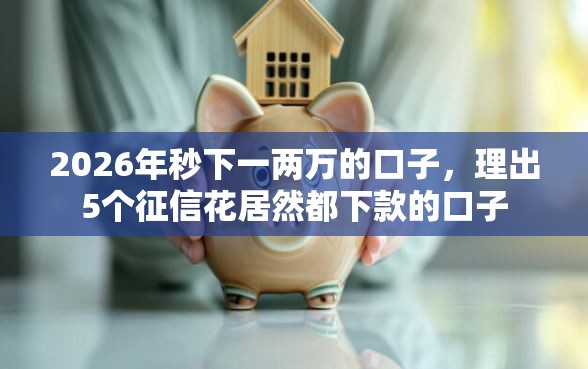 2026年秒下一两万的口子，理出5个征信花居然都下款的口子