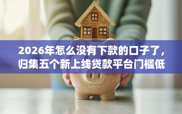 2026年怎么没有下款的口子了，归集五个新上线贷款平台门槛低app