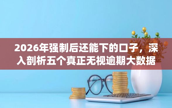 2026年强制后还能下的口子，深入剖析五个真正无视逾期大数据的网贷app