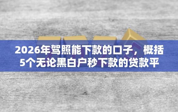 2026年驾照能下款的口子，概括5个无论黑白户秒下款的贷款平台