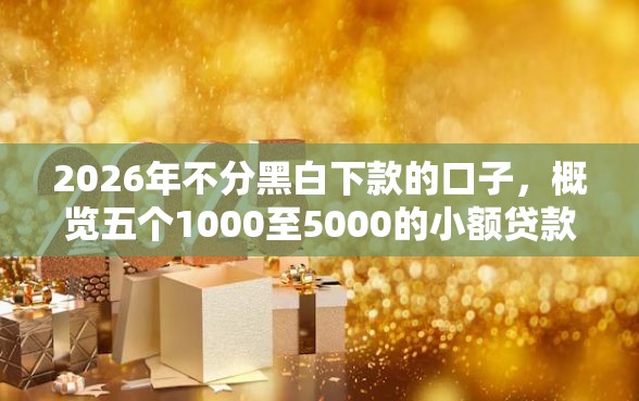 2026年不分黑白下款的口子，概览五个1000至5000的小额贷款平台
