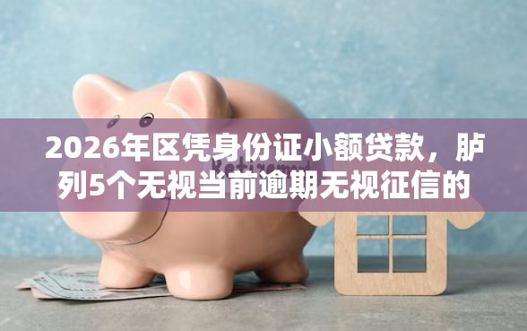 2026年区凭身份证小额贷款，胪列5个无视当前逾期无视征信的借款口子