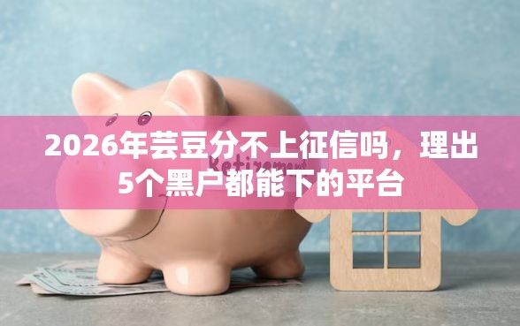 2026年芸豆分不上征信吗，理出5个黑户都能下的平台