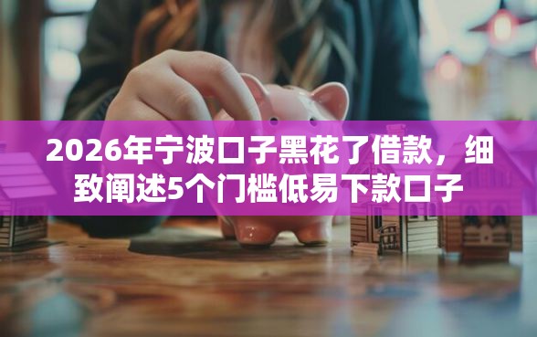 2026年宁波口子黑花了借款，细致阐述5个门槛低易下款口子