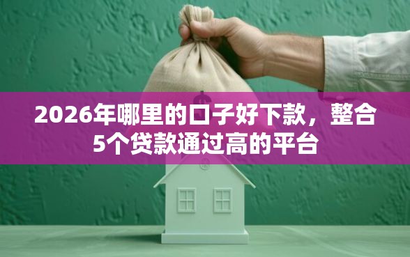 2026年哪里的口子好下款，整合5个贷款通过高的平台
