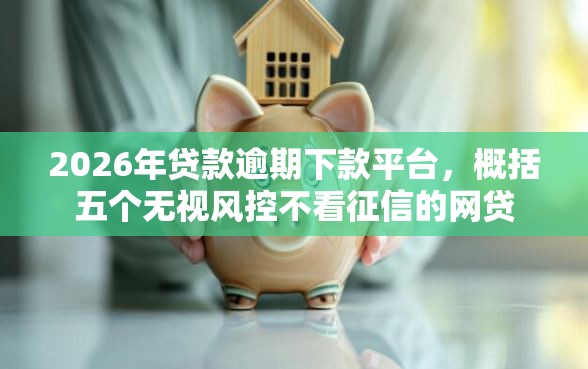 2026年贷款逾期下款平台，概括五个无视风控不看征信的网贷