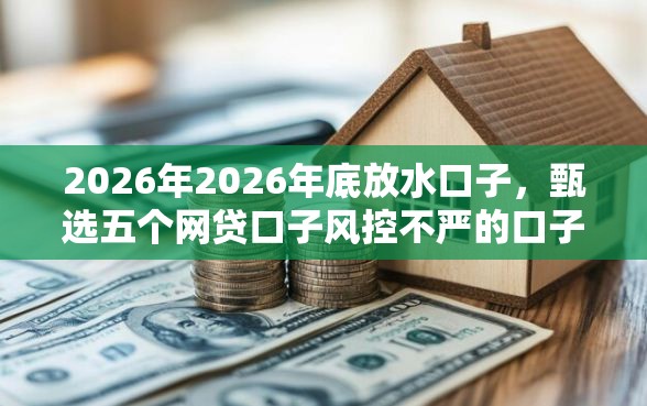 2026年2026年底放水口子，甄选五个网贷口子风控不严的口子