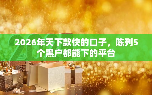 2026年天下款快的口子，陈列5个黑户都能下的平台