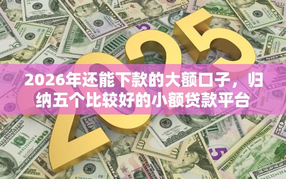 2026年还能下款的大额口子，归纳五个比较好的小额贷款平台