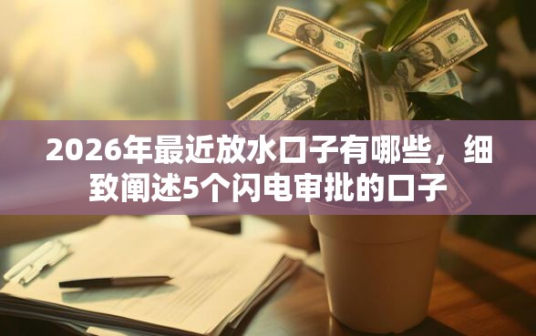 2026年最近放水口子有哪些，细致阐述5个闪电审批的口子