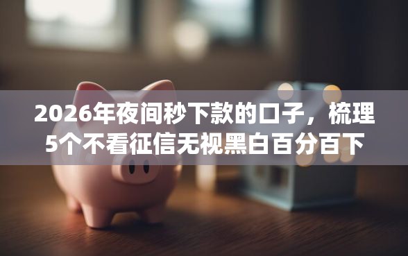 2026年夜间秒下款的口子，梳理5个不看征信无视黑白百分百下款网贷app