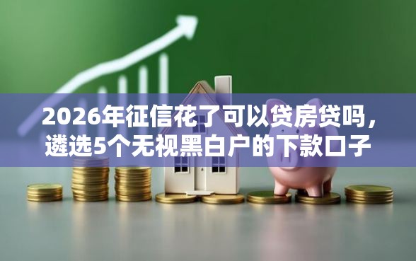 2026年征信花了可以贷房贷吗，遴选5个无视黑白户的下款口子