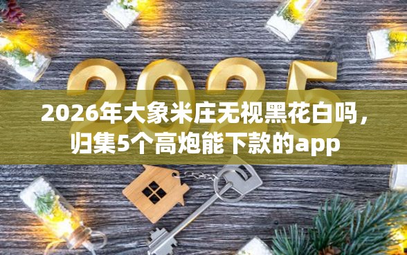 2026年大象米庄无视黑花白吗，归集5个高炮能下款的app